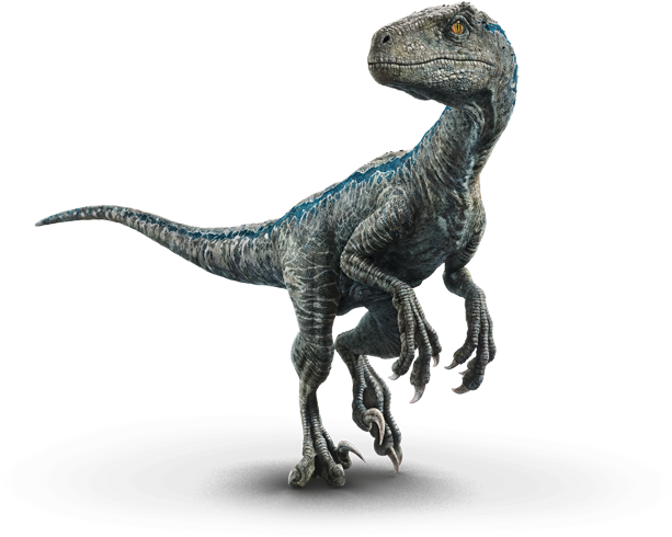 raptor